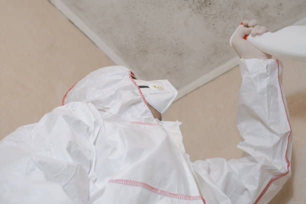 Professional Mold Remediation in Hightstown, NJ